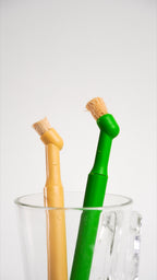 Siwak Care LANSARI